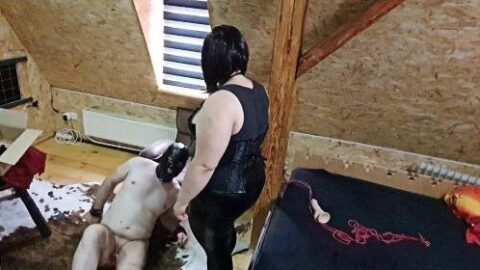 2609272 Video 7209699 500x281 - Privatporno