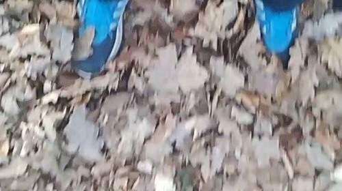 - Privatporno