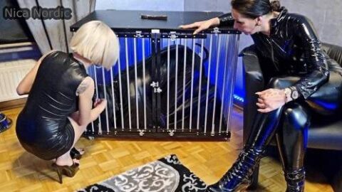 2513746 Video 7312871 500x281 - Privatporno