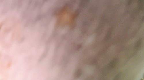 - Privatporno