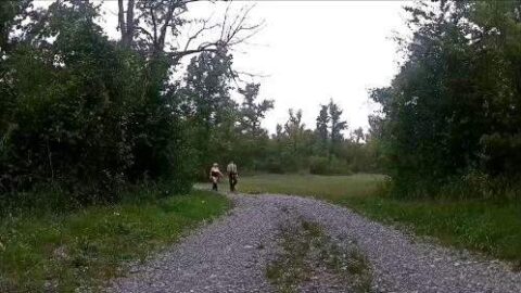 2643529 Video 7646506 500x281 - Privatporno