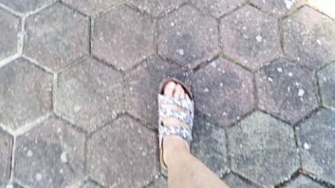 2569257 Video 7653424 500x281 - Privatporno