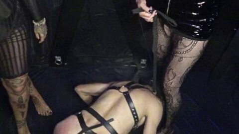 2244965 Video 7764365 500x281 - Privatporno