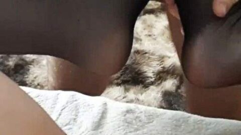 2765237 Video 7848019 500x281 - Privatporno